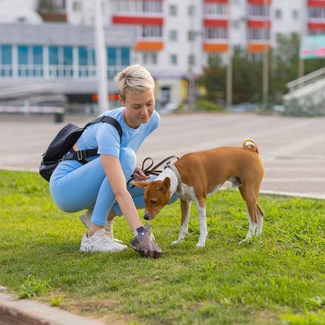 Hygienunderlag hund/valp 60x90 cm 50-pack + hundbajspåsar 30 st