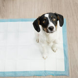 Hygienunderlag hund/valp 60x90 cm 50-pack + hundbajspåsar 30 st