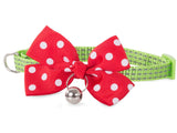 Justerbart katt- och hundhalsband 24–34 cm med bjällra rosett