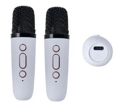 Karaokeanläggning Bluetooth-högtalare med LED och 2 trådlösa mikrofoner