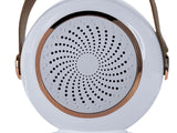 Karaokeanläggning Bluetooth-högtalare med LED och 2 trådlösa mikrofoner