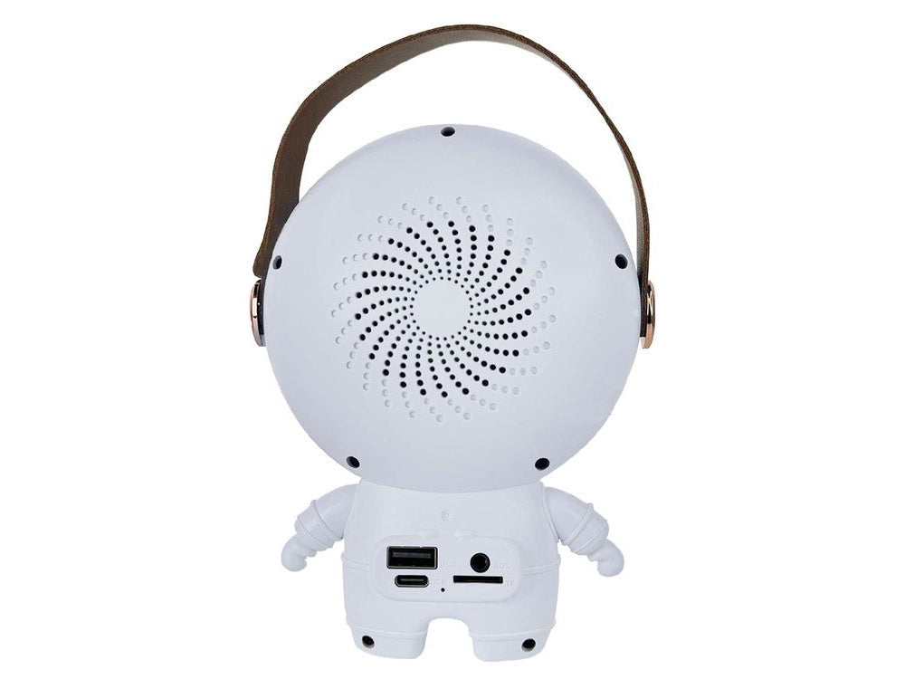 Karaokeanläggning Bluetooth-högtalare med LED och 2 trådlösa mikrofoner