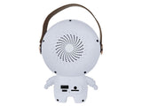 Karaokeanläggning Bluetooth-högtalare med LED och 2 trådlösa mikrofoner