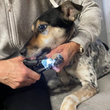 Klotång med LED-lampa och nagelfil för hund och katt, inkl. 3 LR44