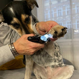 Klotång med LED-lampa och nagelfil för hund och katt, inkl. 3 LR44