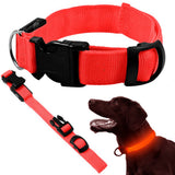 LED-halsband hund/katt justerbart 46–59 cm röd inkl batterier
