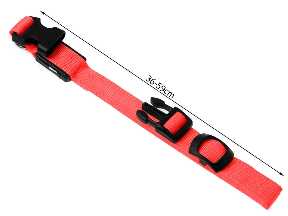 LED-halsband hund/katt justerbart 46–59 cm röd inkl batterier