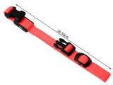 LED-halsband hund/katt justerbart 46–59 cm röd inkl batterier