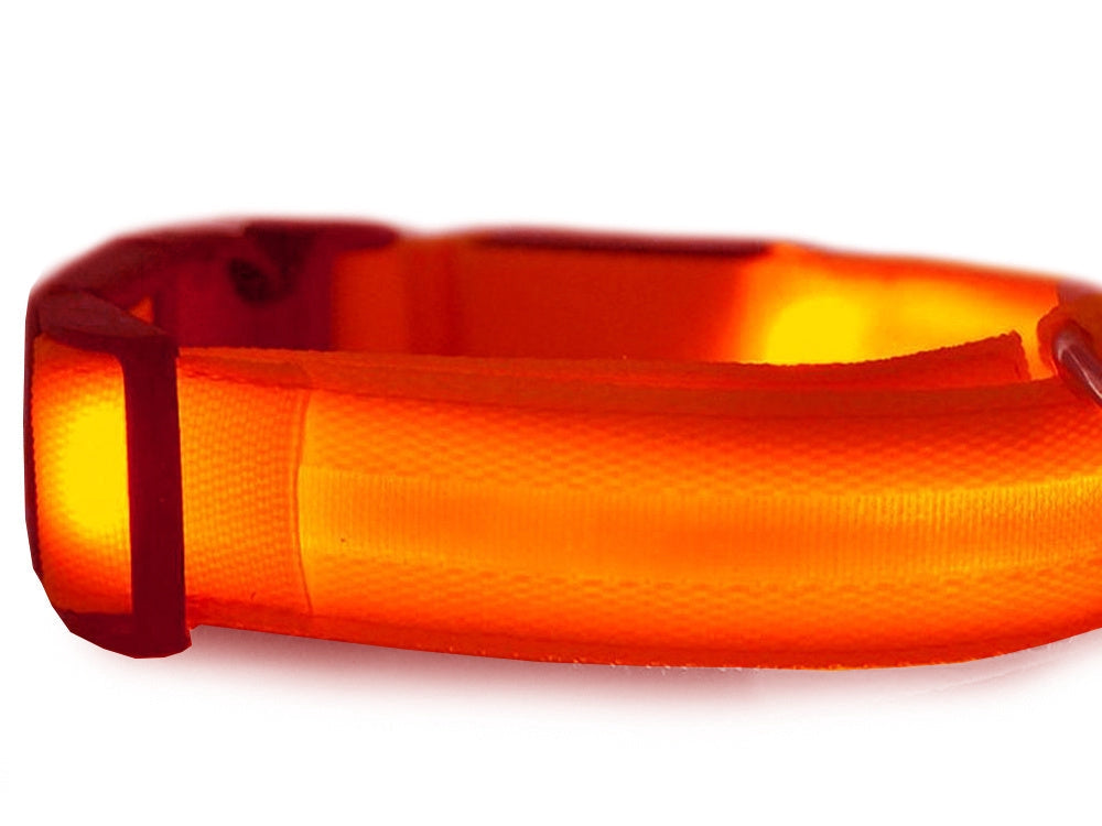 LED-halsband hund/katt justerbart 46–59 cm röd inkl batterier