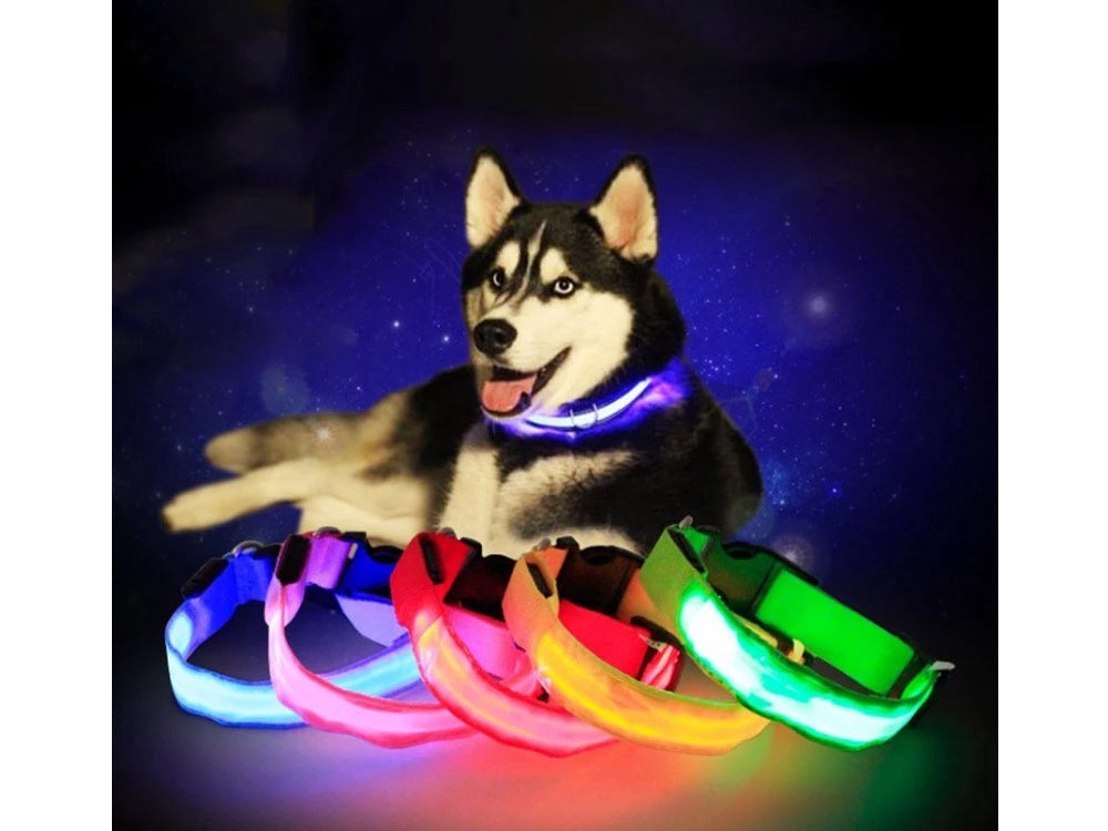 LED-halsband hund/katt justerbart 46–59 cm röd inkl batterier