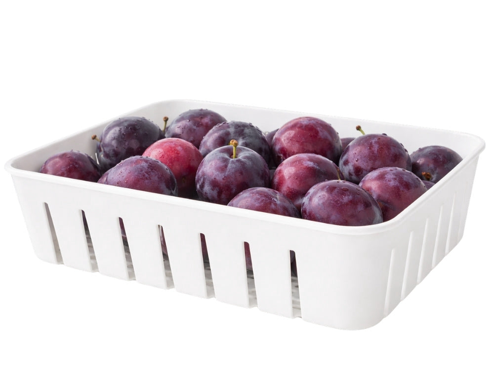 Matbehållare för frukt/grönt med dräneringskorg 22x14x7 cm