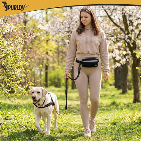Midjebälte med koppel handsfree för hund upp till 50 kg, svart/gul
