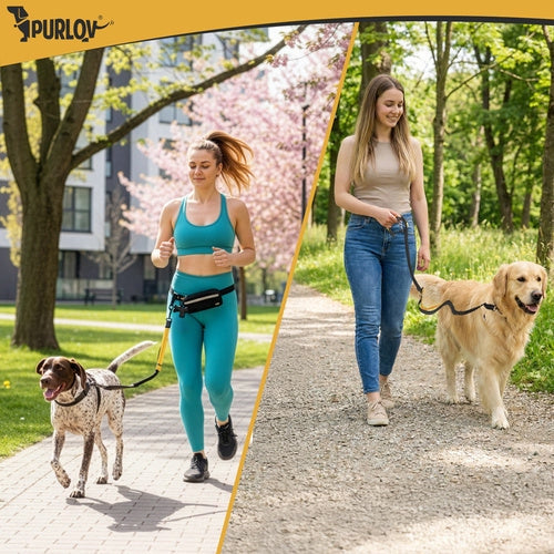 Midjebälte med koppel handsfree för hund upp till 50 kg, svart/gul