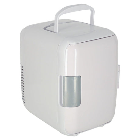 Mini el-kylskåp 4L kyl/värme 12V/110-220V för bil & hem vit