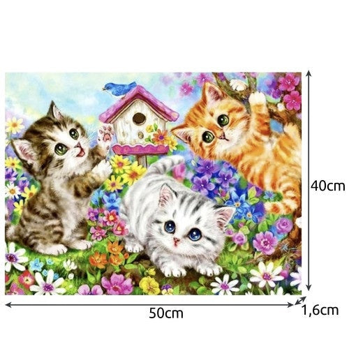 Måla efter nummer kit katter 40x50 cm med duk på ram, färg & penslar