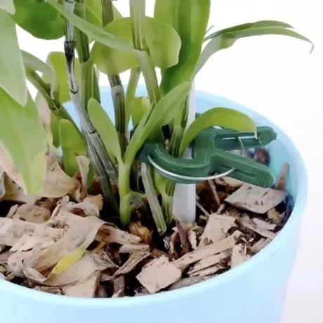 Plantklämmor för växtstöd 108-pack grön (54 små + 54 stora)