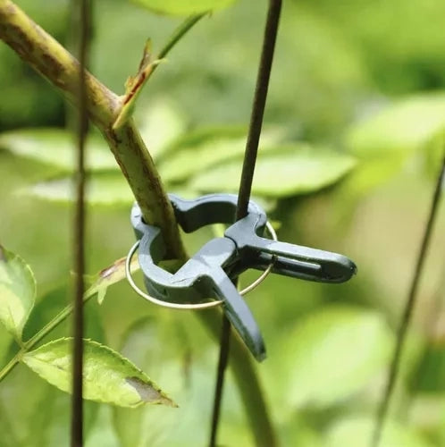 Plantklämmor för växtstöd 108-pack grön (54 små + 54 stora)