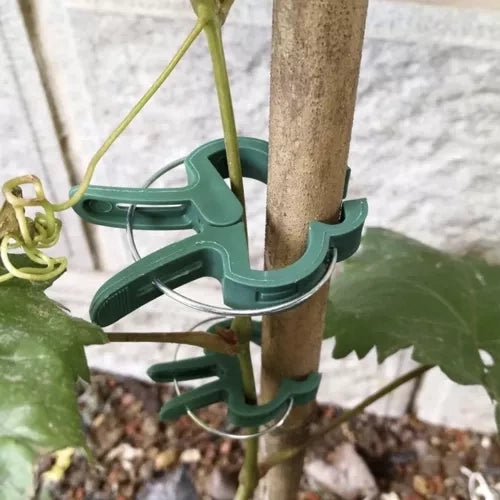 Plantklämmor för växtstöd 108-pack grön (54 små + 54 stora)