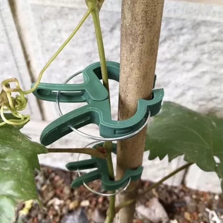 Plantklämmor för växtstöd 108-pack grön (54 små + 54 stora)