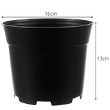 Plastkrukor 2L 500-pack svart 13 cm 16 cm toppdiameter 12 hål