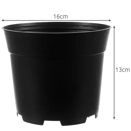 Plastkrukor 2L 500-pack svart 13 cm 16 cm toppdiameter 12 hål