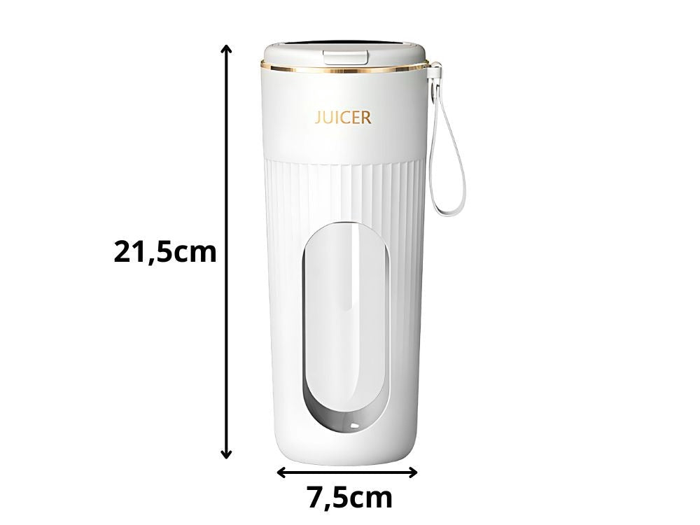 Portabel USB-blender 340 ml med 10 blad Type-C uppladdningsbar blandade färger