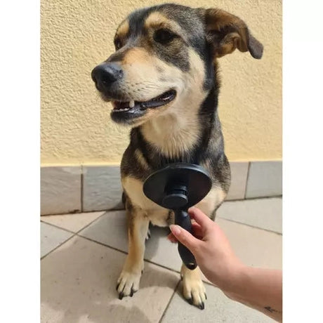 Självrengörande pälsborste med knapp för hund, katt och kanin svart