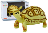 Sköldpadda samlarfigur 11 cm leksaksfigur reptil, CE/EN71 3+