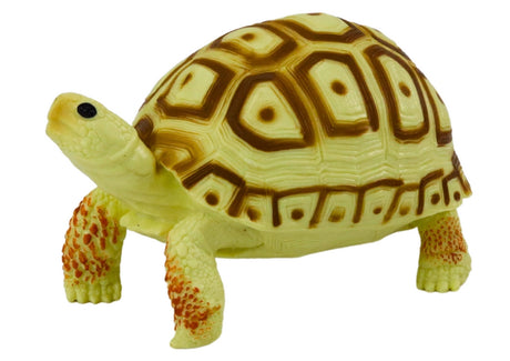 Sköldpadda samlarfigur 11 cm leksaksfigur reptil, CE/EN71 3+