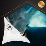 Spindelnät Halloween-dekoration 2,5 m² med 2 svarta spindlar