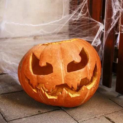 Spindelnät Halloween-dekoration 60 g vit med 2 spindlar, täcker 2,5 m²