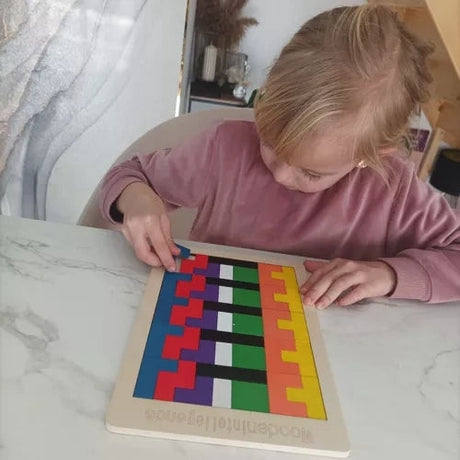 Träpussel logikspel 40 delar med bas 27x18 cm flerfärgad