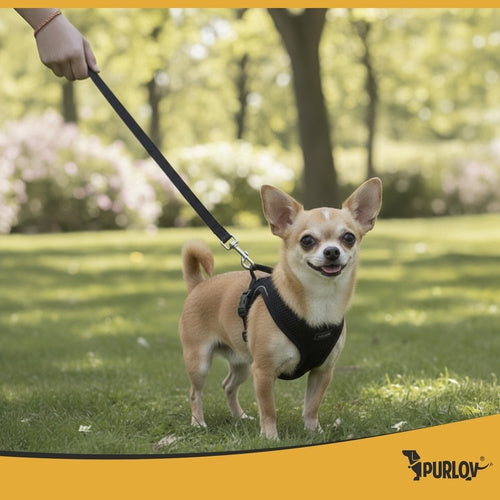 Tryckfri hundsele XS med koppel 150 cm, reflekterande, 3–8 kg