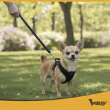 Tryckfri hundsele XS med koppel 150 cm, reflekterande, 3–8 kg
