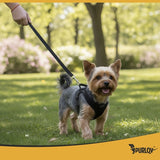 Tryckfri hundsele/kattsele S justerbar med koppel 150 cm reflex
