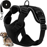 Tryckfri sele hund/katt M med reflex, justerbar + koppel 150 cm