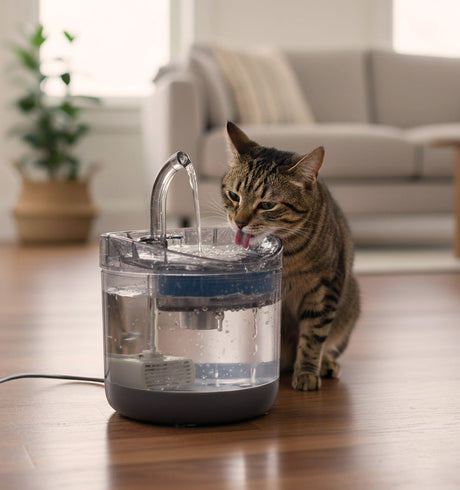 Vattenfontän hund/katt 1,8 L med aktivt kolfilter och tyst USB-pump