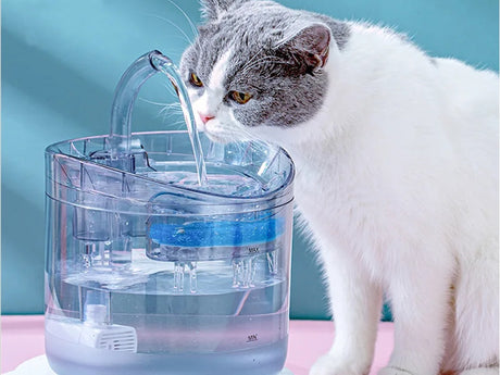 Vattenfontän katt/hund 1,8 L USB med pump och kolfilter transparent