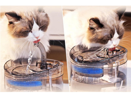 Vattenfontän katt/hund 1,8 L USB med pump och kolfilter transparent