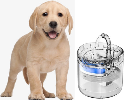 Vattenfontän katt/hund 1,8 L USB med pump och kolfilter transparent