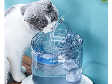 Vattenfontän katt/hund 1,8 L USB med pump och kolfilter transparent