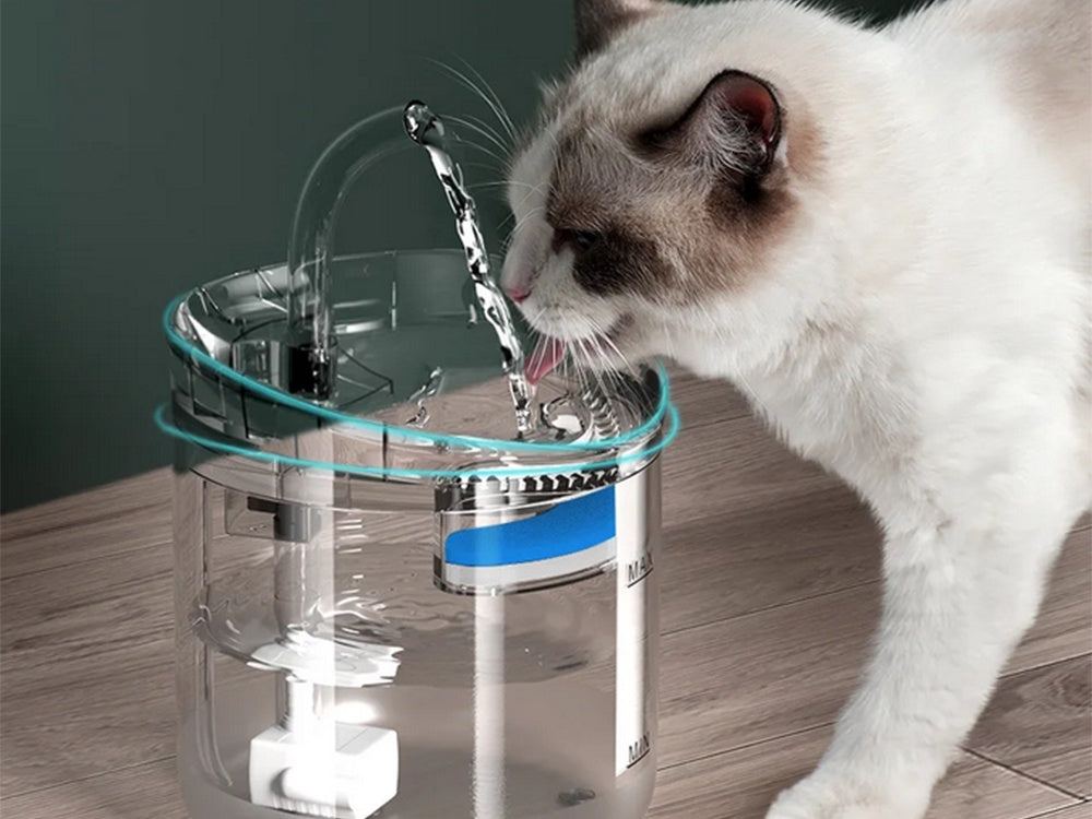 Vattenfontän katt/hund 1,8 L USB med pump och kolfilter transparent