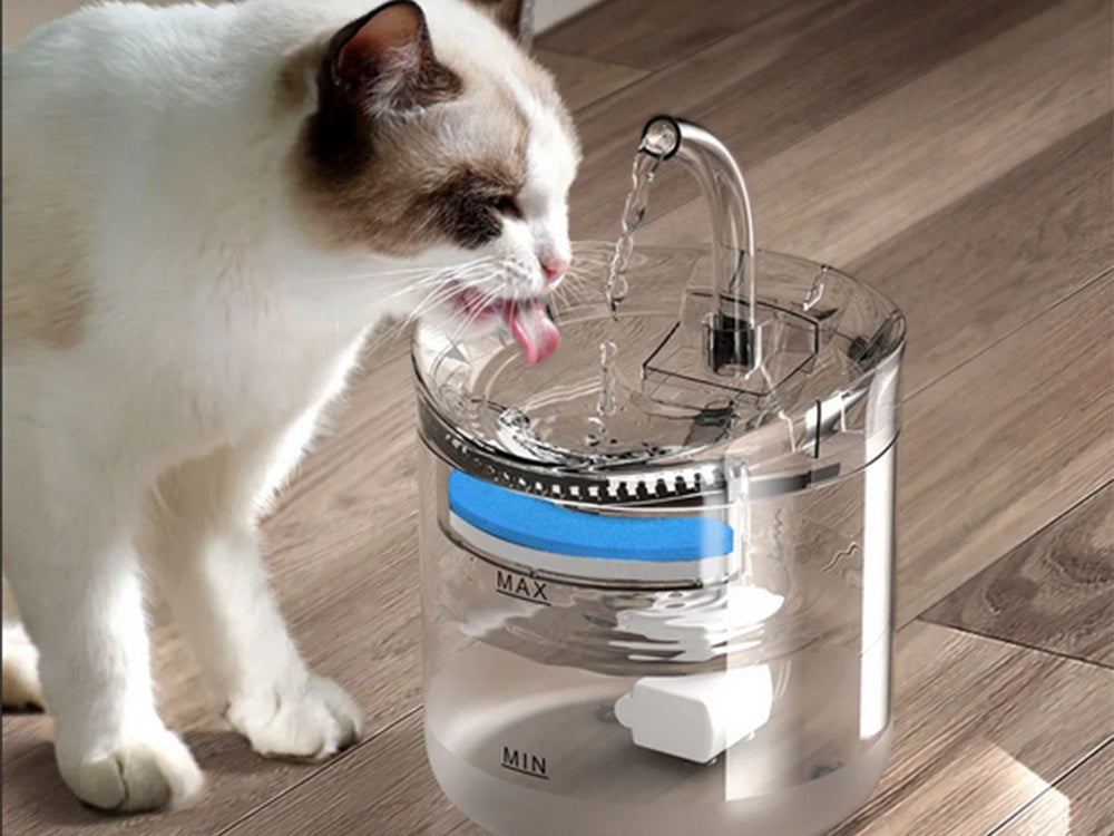 Vattenfontän katt/hund 1,8 L USB med pump och kolfilter transparent