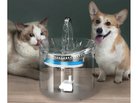 Vattenfontän katt/hund 1,8 L USB med pump och kolfilter transparent
