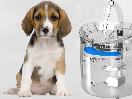 Vattenfontän katt/hund 1,8 L USB med pump och kolfilter transparent