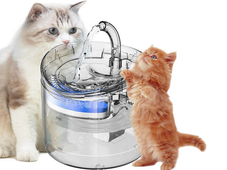 Vattenfontän katt/hund 1,8 L USB med pump och kolfilter transparent