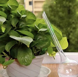Vattningskulor 8-pack 280 ml transparent PVC för krukväxter