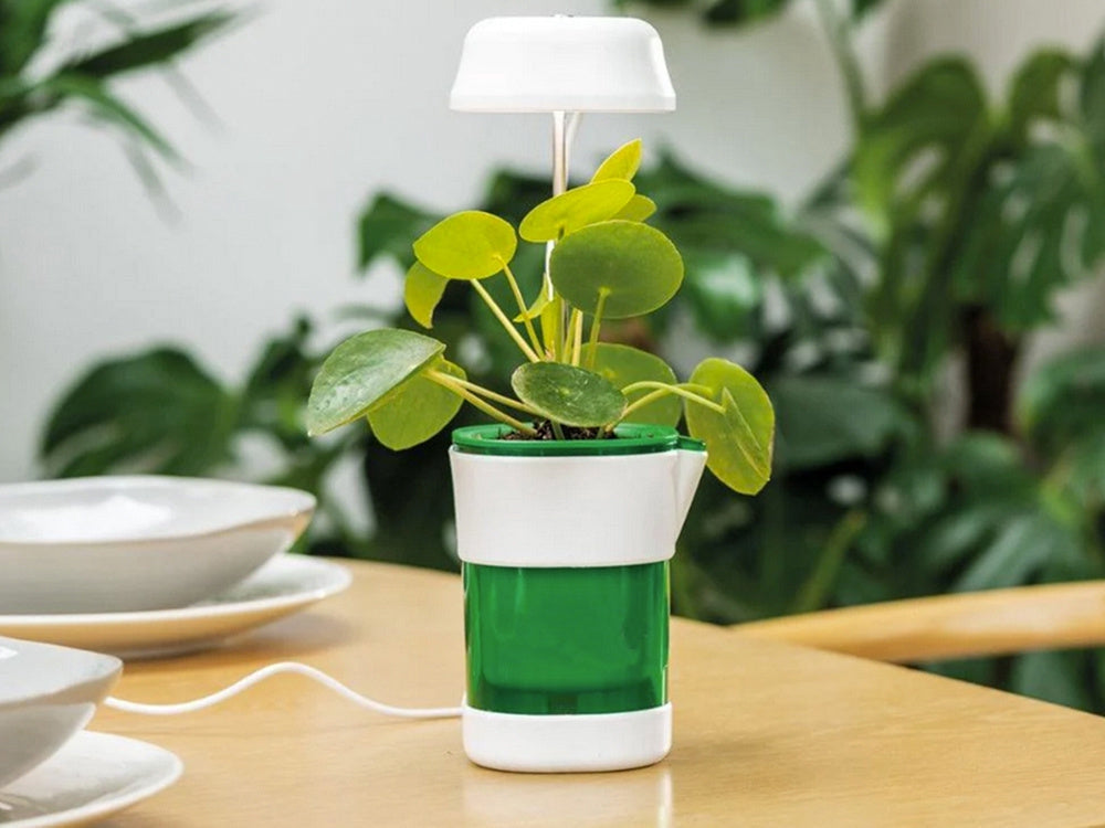 Växtlampa med självbevattnande kruka LED fullspektrum USB vit