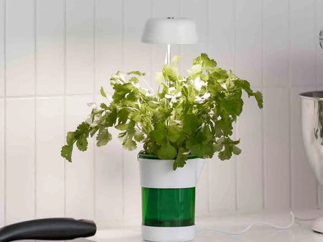 Växtlampa med självbevattnande kruka LED fullspektrum USB vit