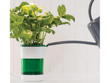 Växtlampa med självbevattnande kruka LED fullspektrum USB vit